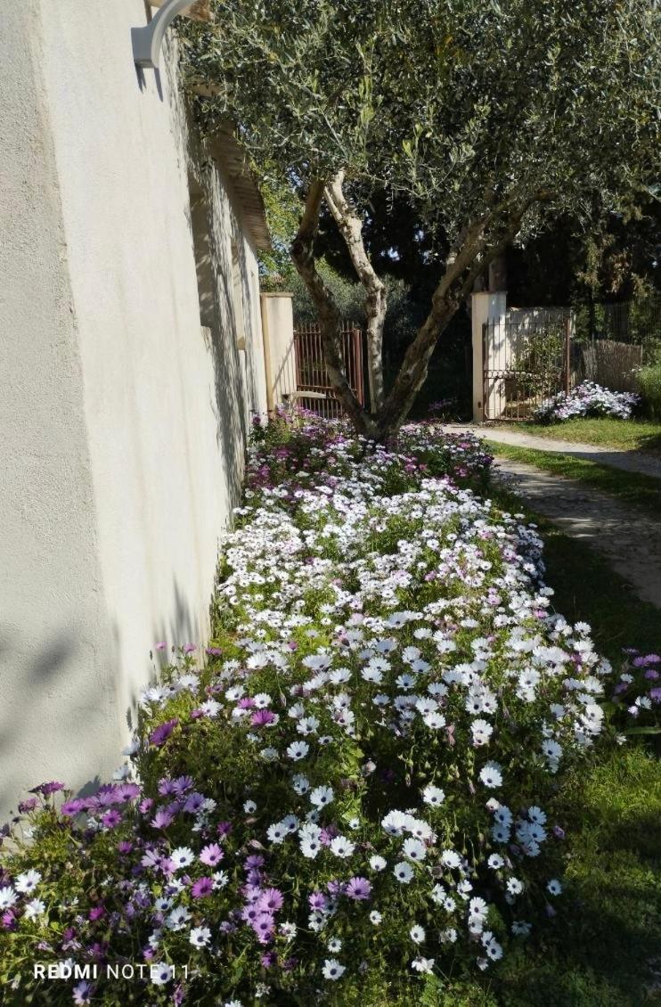 Maison De Campagne En Provence Barbentane Zewnętrze zdjęcie